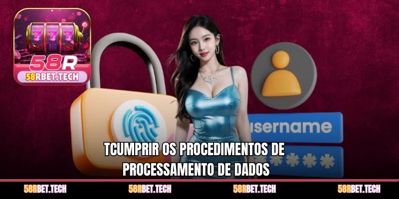 Tcumprir os procedimentos de processamento de dados